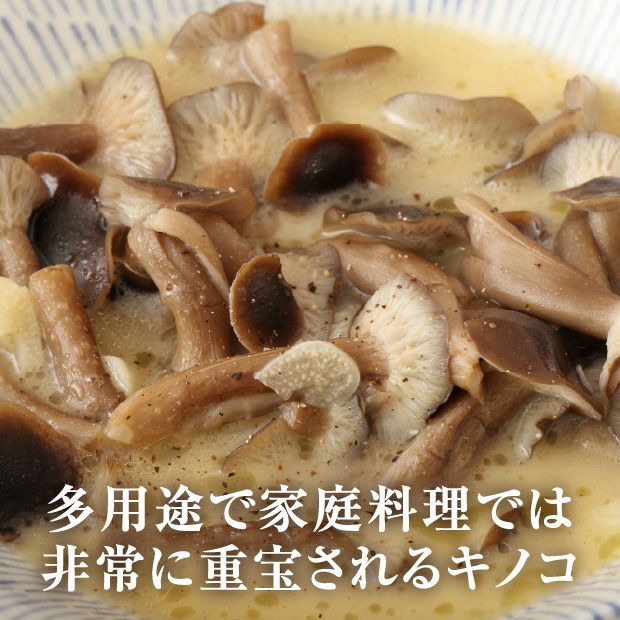 天然ハタケシメジ350g｜北海山｜キノコ 天然｜食べレア北海道 物産