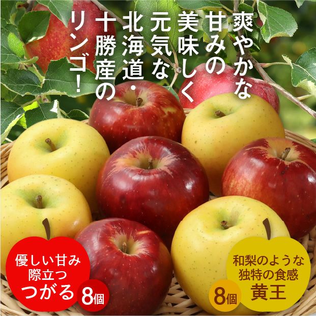 りんご 北海道十勝産りんご つがると黄王各8個セット｜農産｜リンゴ｜食べレア