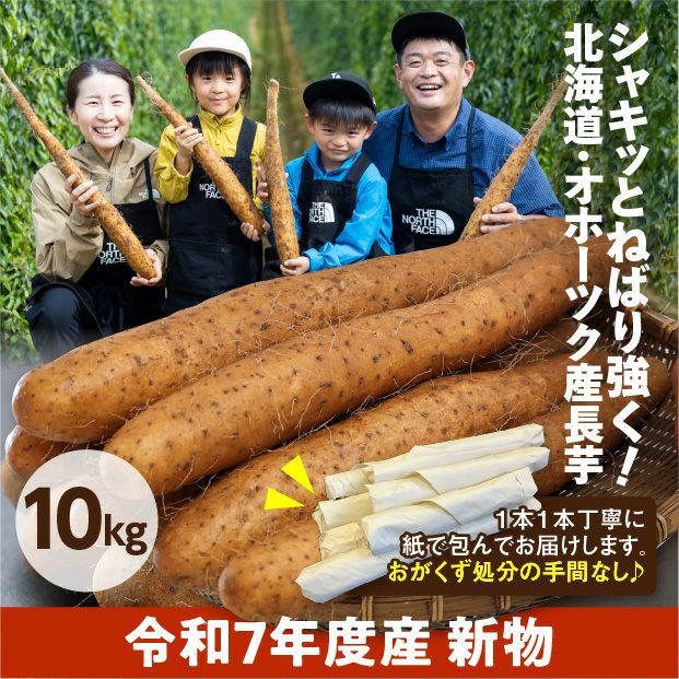 網走産 長いも 10kg