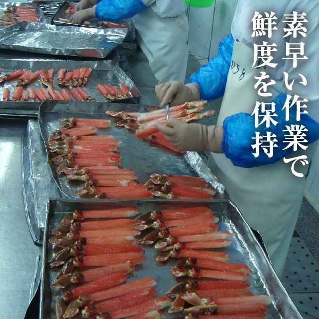 【ボイル冷凍】ずわいがに脚