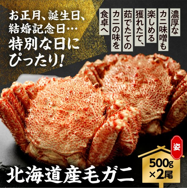 000000004648-01.jpg?size=m&w=