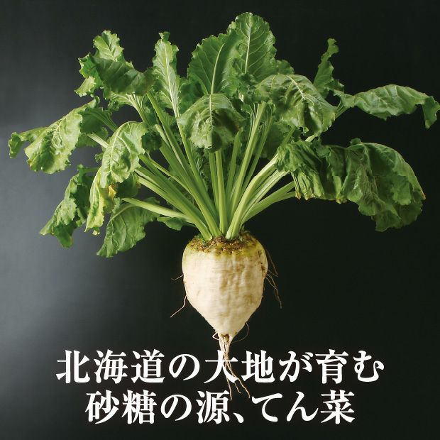 北海道まろやかてんさい糖