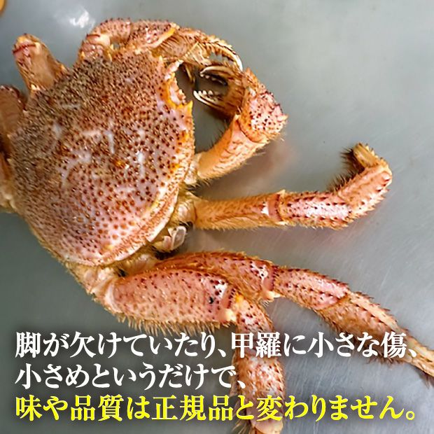 北海道産】訳あり毛ガニ 冷凍ボイル 約1kg｜魚介 ｜食べレア北海道