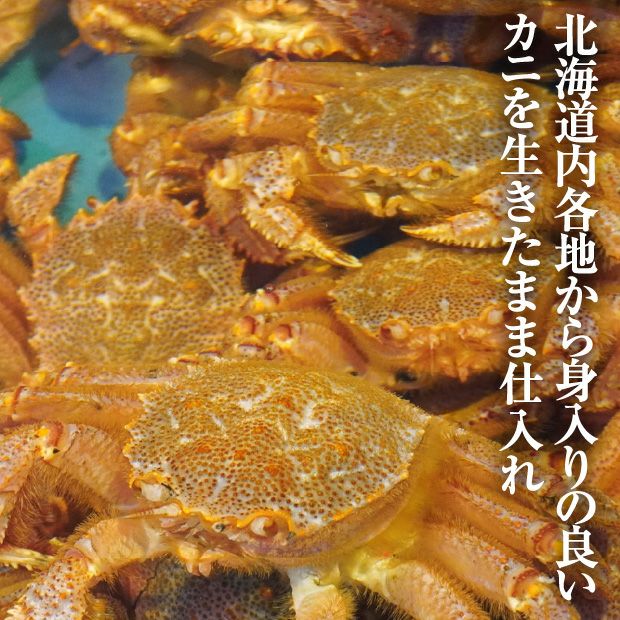  【北海道産】訳あり毛ガニ 冷凍ボイル 約1kg