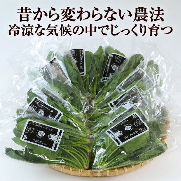 銀賞受賞】かみしまほうれん草 10束｜上島農園 ほうれん草｜食べレア