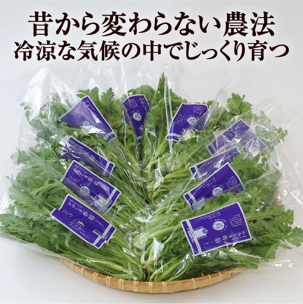 金賞受賞】かみしま春菊 10束｜上島農園 ほうれん草｜食べレア北海道 野菜