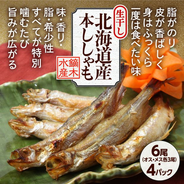 本ししゃも生干し 6尾×4P（オス・メス）北海道・広尾産 | 食べレア