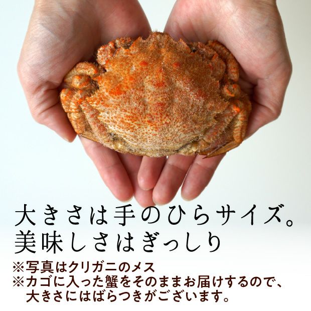 クリガニ【ボイル・冷凍】4kg｜魚介 クリガニ 北翔丸水産｜食べレア北海道