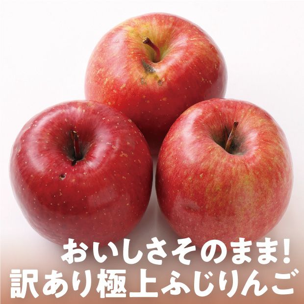 余市産 訳あり ふじりんご 2.8kg