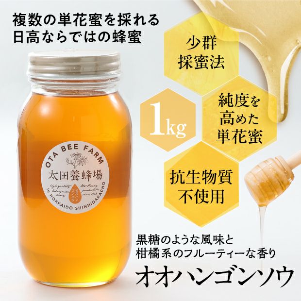 北海道産はちみつ　オオハンゴンソウ蜜　1㎏