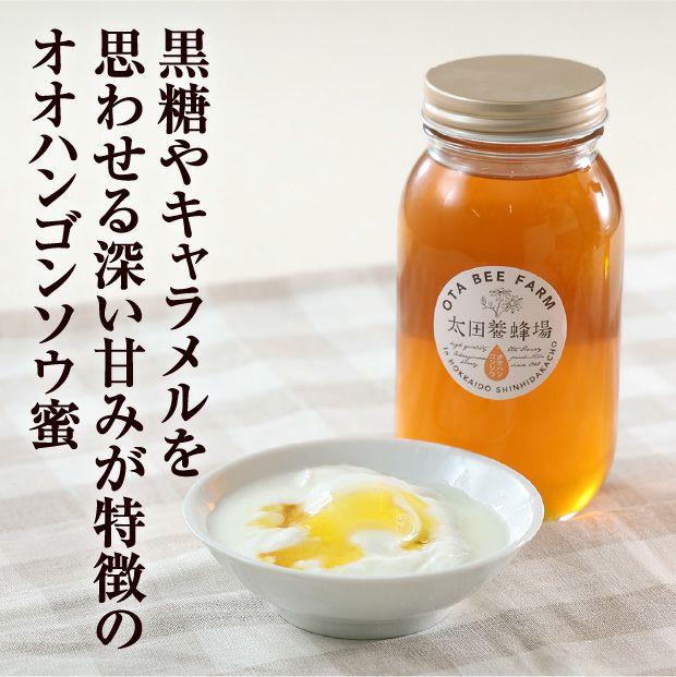 北海道産はちみつ オオハンゴンソウ蜜 1㎏｜はちみつ 養蜂 お取り寄せ
