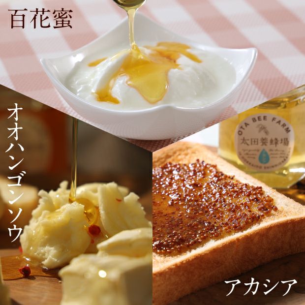 蜂のアトリエペカン接木苗4株セット 3種のはちみつセット 390g（箱入）｜はちみつ 養蜂 お取り寄せ ギフト