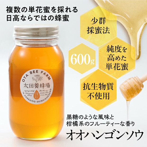北海道産はちみつ　オオハンゴソウ蜜　600g（箱入）