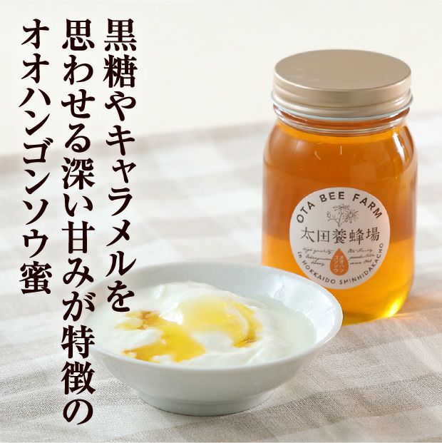 北海道産はちみつ　オオハンゴソウ蜜　600g（箱入）