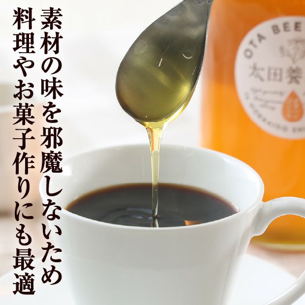 北海道産はちみつ　オオハンゴソウ蜜　600g（箱入）