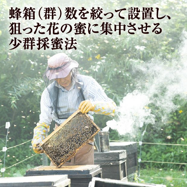 北海道産はちみつ　オオハンゴソウ蜜　600g（箱入）