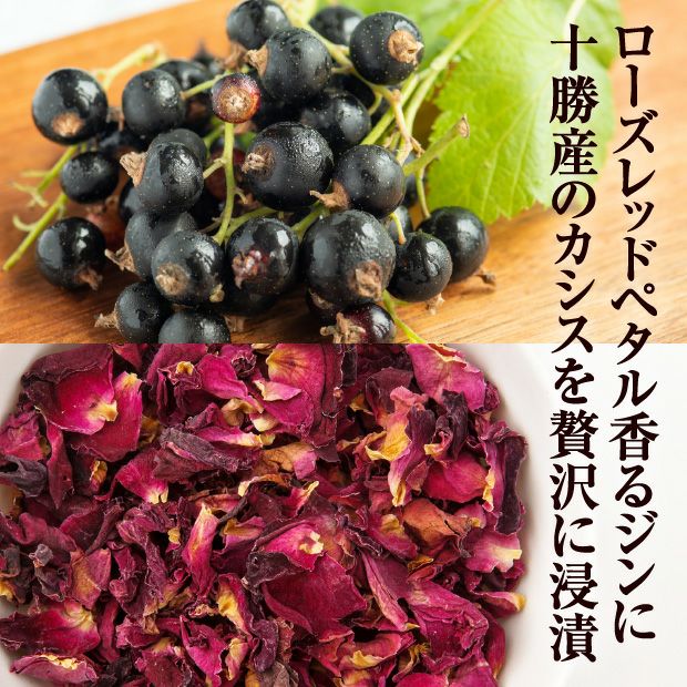 クラフトジン カシス