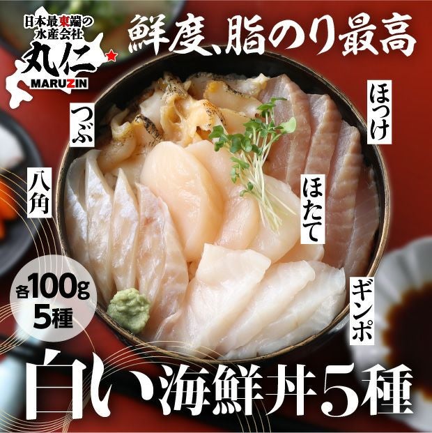 北海道　ねむろの白い海鮮丼の具（5種）