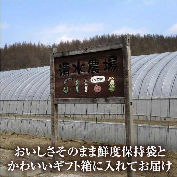 栗山産 グリーンアスパラ（ハウス栽培） 2L/L混 800ｇ