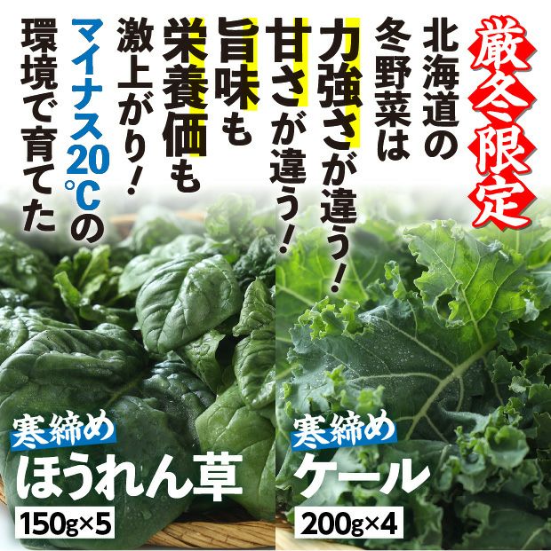 旭川産 ゆきあまほうれん草とゆきあまケールのセット｜産直 お取り寄せ