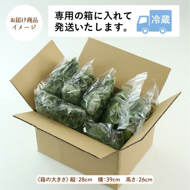 旭川産 ゆきあまほうれん草とゆきあまケールのセット｜産直 お取り寄せ