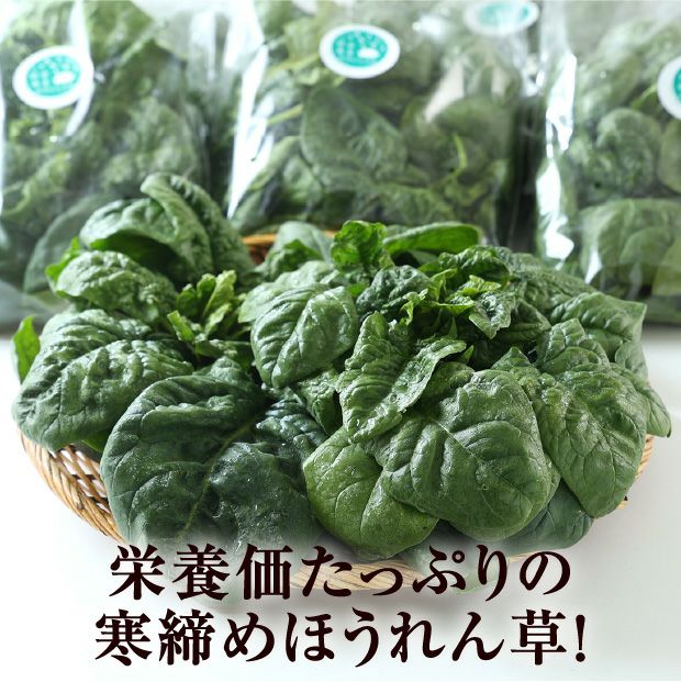 旭川産　ゆきあまほうれん草　150g×9袋