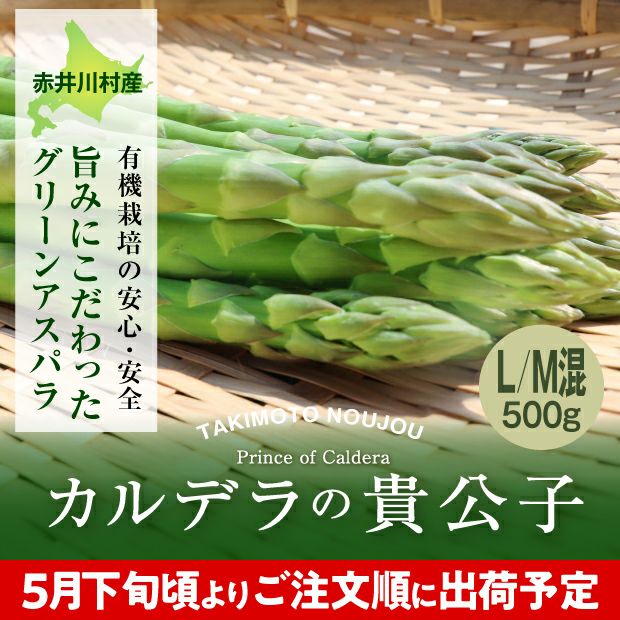 グリーンアスパラ　L/M混　500g
