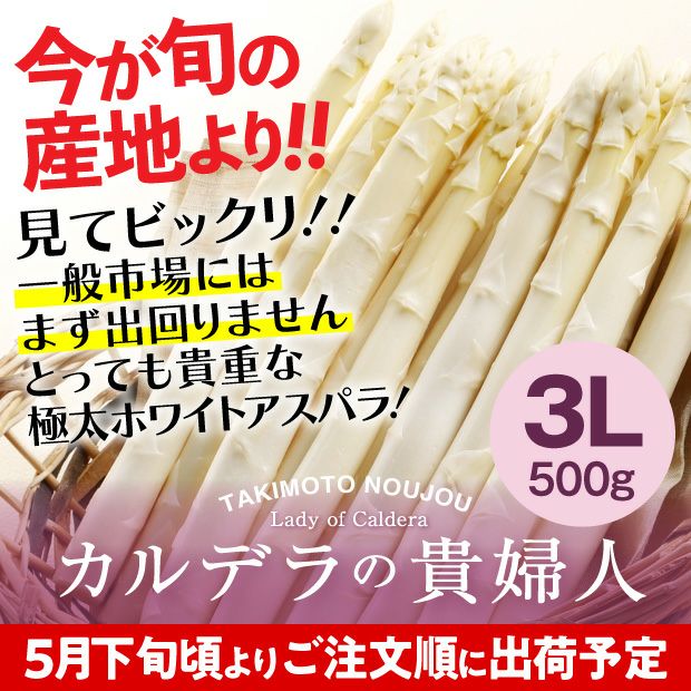 ホワイトアスパラ　3L　500g