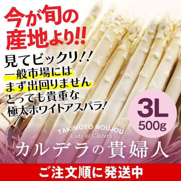 ホワイトアスパラ　3L　500g