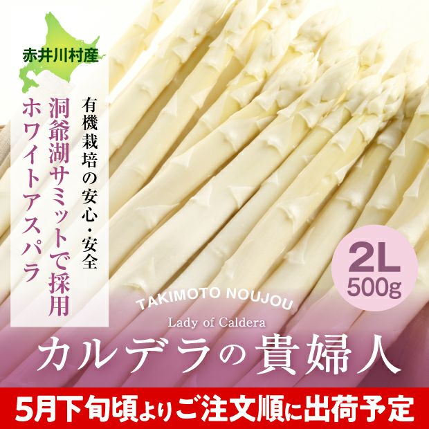 ホワイトアスパラ　2L 500g