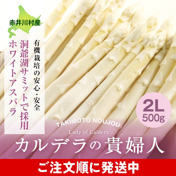 ホワイトアスパラ　2L 500g