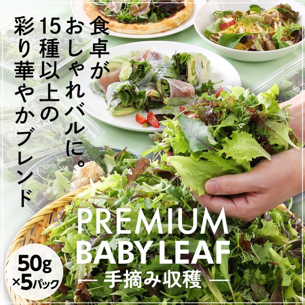 手摘みプレミアムベビーリーフ