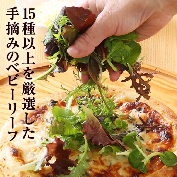手摘みプレミアムベビーリーフ