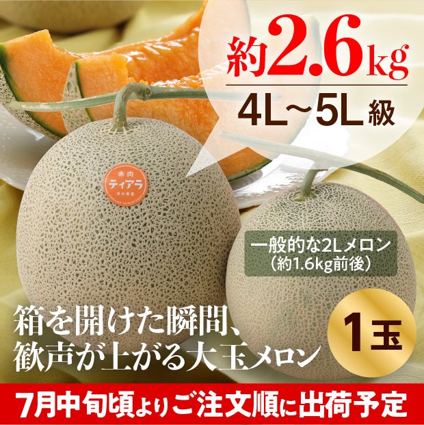 大玉メロン　ティアラ秀品約2.6㎏　1玉