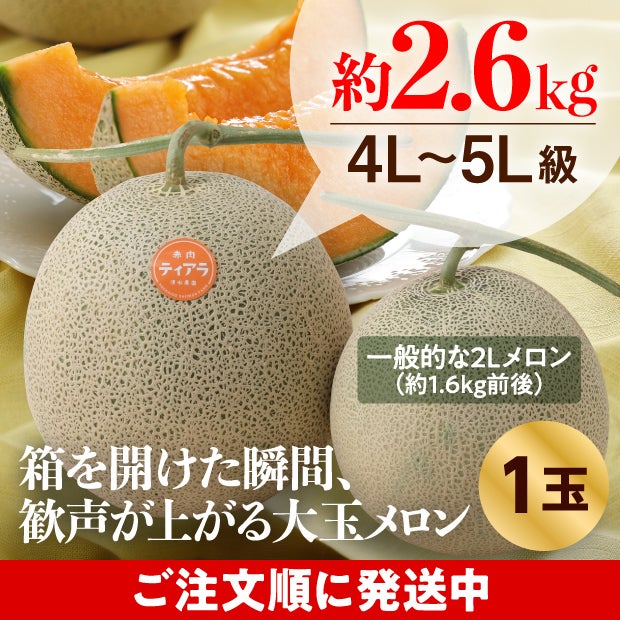 大玉メロン　ティアラ秀品約2.6㎏　1玉