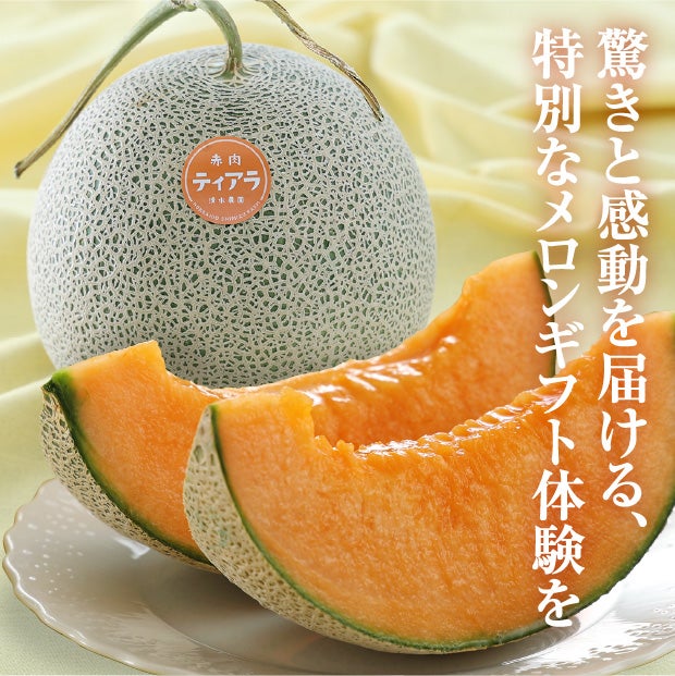 大玉メロン　ティアラ秀品約2.6㎏　1玉