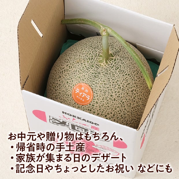 大玉メロン　ティアラ秀品約2.6㎏　1玉