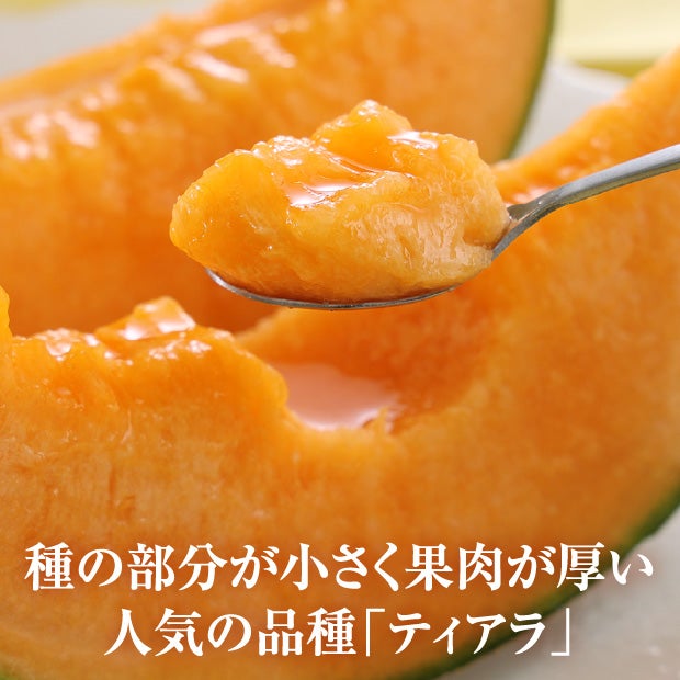 大玉メロン　ティアラ秀品約2.6㎏　1玉