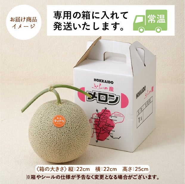 大玉メロン　ティアラ秀品約2.6㎏　1玉