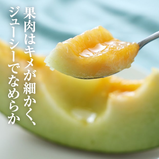 キスロマン秀品　約1.6kg　2玉