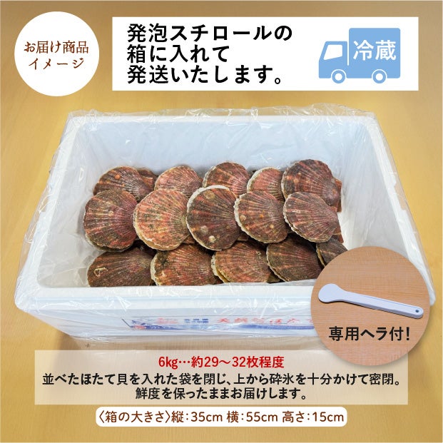 宗谷産 殻付き活ホタテ6kg