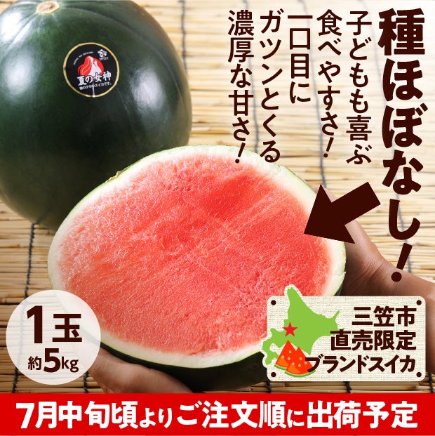 夏の女神　すいか　秀品　1玉(約5kg)