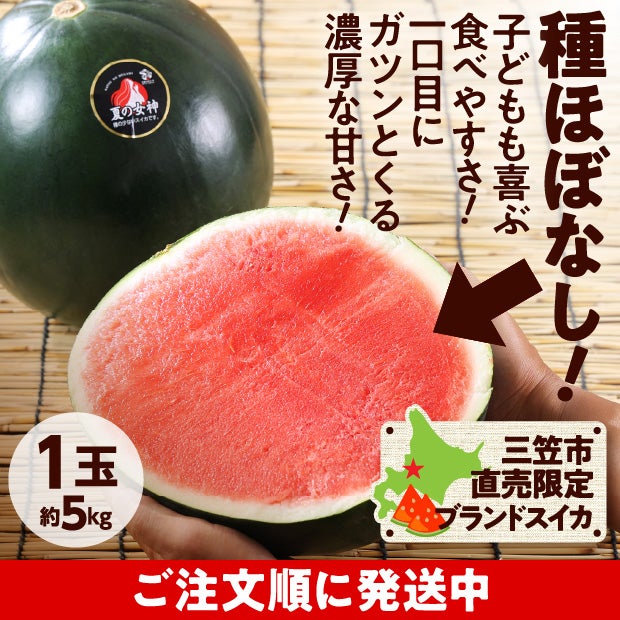 夏の女神　すいか　秀品　1玉(約5kg)