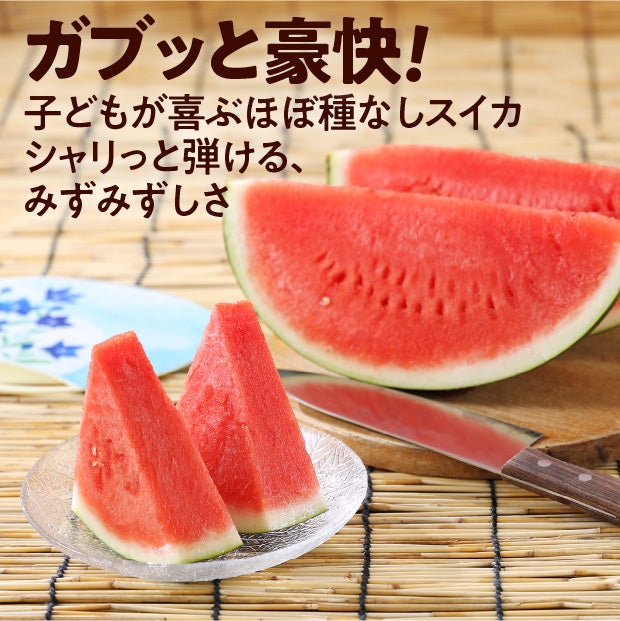 夏の女神　すいか　秀品　1玉(約5kg)