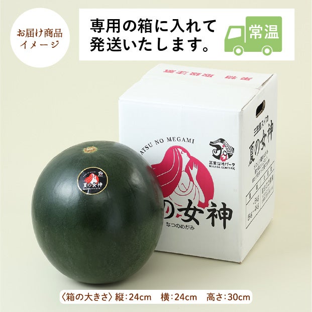 夏の女神　すいか　秀品　1玉(約5kg)
