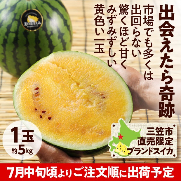夏のほほえみ　すいか　秀品　1玉(約5kg)