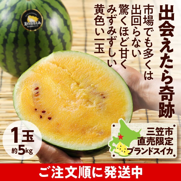 夏のほほえみ　すいか　秀品　1玉(約5kg)