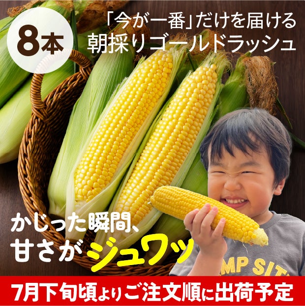 芽室産　ゴールドラッシュ2L　8本