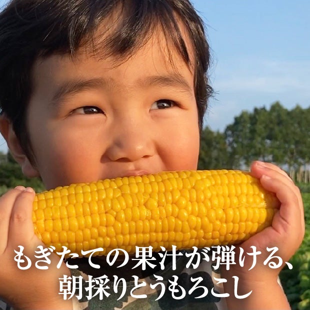 芽室産　ゴールドラッシュ2L　8本