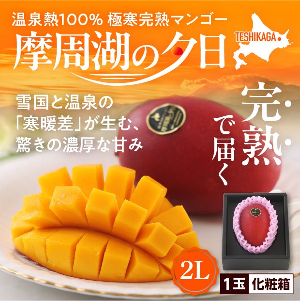 北海道産マンゴー（摩周湖の夕日）　2L　1玉